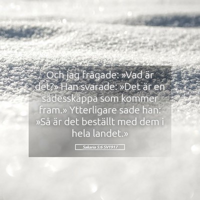 Picture 05 - Sakaria 5:6 SV1917 - Och jag frågade: »Vad är det?» Han svarade: - Bible Verse Picture