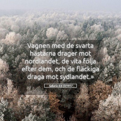 Picture 05 - Sakaria 6:6 SV1917 - Vagnen med de svarta hästarna drager mot - Bible Verse Picture