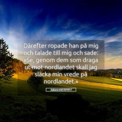 Picture 05 - Sakaria 6:8 SV1917 - Därefter ropade han på mig och talade till mig - Bible Verse Picture