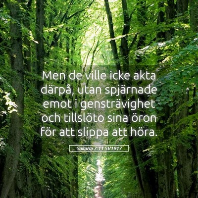 Picture 05 - Sakaria 7:11 SV1917 - Men de ville icke akta därpå, utan spjärnade - Bible Verse Picture