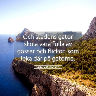 Picture 05 - Sakaria 8:5 SV1917 - Och stadens gator skola vara fulla av gossar och - Bible Verse Picture