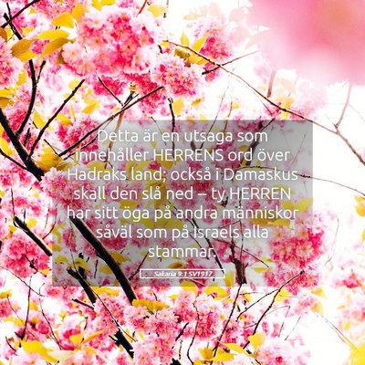 Picture 05 - Sakaria 9:1 SV1917 - Detta är en utsaga som innehåller HERRENS ord - Bible Verse Picture