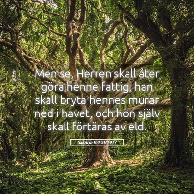 Picture 05 - Sakaria 9:4 SV1917 - Men se, Herren skall åter göra henne fattig, - Bible Verse Picture