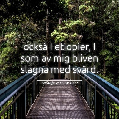 Picture 05 - Sefanja 2:12 SV1917 - också I etiopier, I som av mig bliven slagna med - Bible Verse Picture