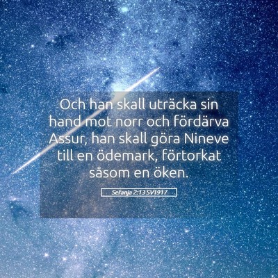 Picture 05 - Sefanja 2:13 SV1917 - Och han skall uträcka sin hand mot norr och - Bible Verse Picture