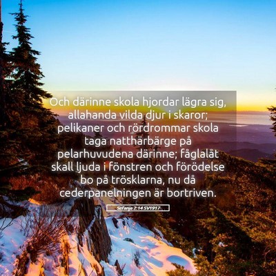 Picture 05 - Sefanja 2:14 SV1917 - Och därinne skola hjordar lägra sig, allahanda - Bible Verse Picture