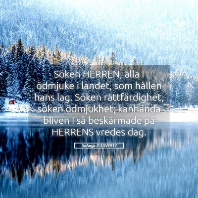 Picture 05 - Sefanja 2:3 SV1917 - Söken HERREN, alla I ödmjuke i landet, som - Bible Verse Picture