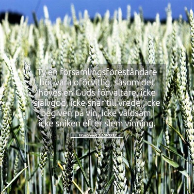 Picture 05 - Titusbrevet 1:7 SV1917 - Ty en församlingsföreståndare bör vara - Bible Verse Picture