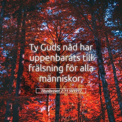 Picture 05 - Titusbrevet 2:11 SV1917 - Ty Guds nåd har uppenbarats till frälsning för - Bible Verse Picture