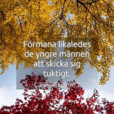 Picture 05 - Titusbrevet 2:6 SV1917 - Förmana likaledes de yngre männen att skicka - Bible Verse Picture