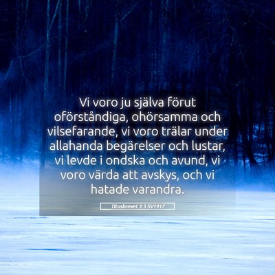 Picture 05 - Titusbrevet 3:3 SV1917 - Vi voro ju själva förut oförståndiga, - Bible Verse Picture