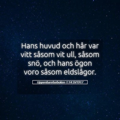 Picture 05 - Uppenbarelseboken 1:14 SV1917 - Hans huvud och hår var vitt såsom vit ull, - Bible Verse Picture