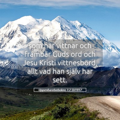 Picture 05 - Uppenbarelseboken 1:2 SV1917 - som här vittnar och frambär Guds ord och Jesu - Bible Verse Picture