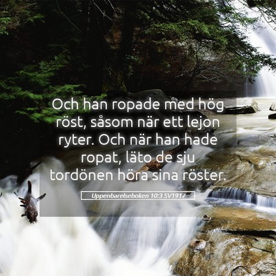 Picture 05 - Uppenbarelseboken 10:3 SV1917 - Och han ropade med hög röst, såsom när ett - Bible Verse Picture