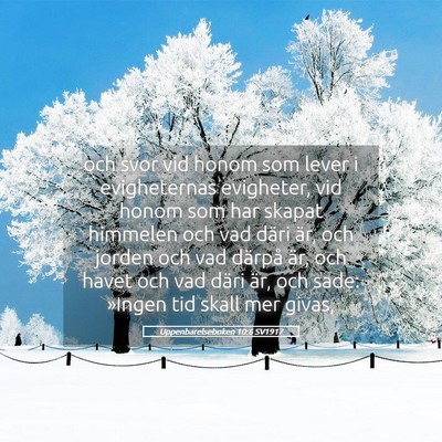 Picture 05 - Uppenbarelseboken 10:6 SV1917 - och svor vid honom som lever i evigheternas - Bible Verse Picture