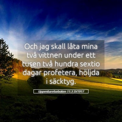Picture 05 - Uppenbarelseboken 11:3 SV1917 - Och jag skall låta mina två vittnen under ett - Bible Verse Picture