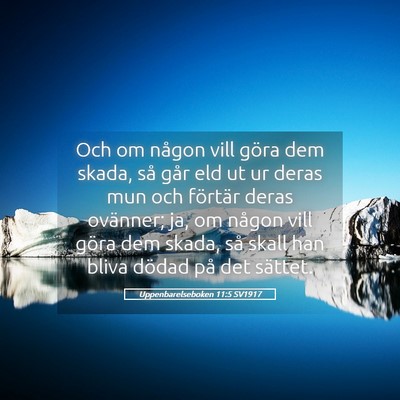 Picture 05 - Uppenbarelseboken 11:5 SV1917 - Och om någon vill göra dem skada, så går eld - Bible Verse Picture