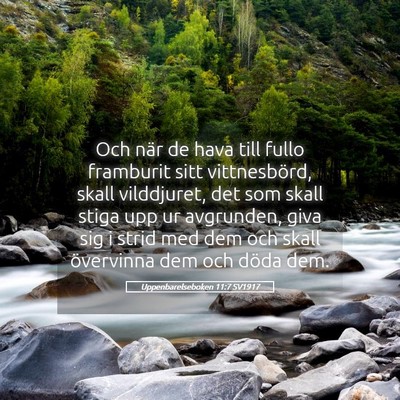 Picture 05 - Uppenbarelseboken 11:7 SV1917 - Och när de hava till fullo framburit sitt - Bible Verse Picture