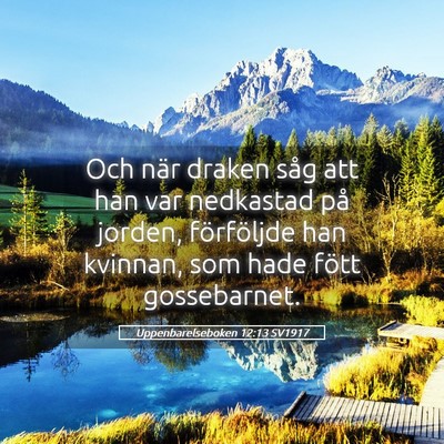 Picture 05 - Uppenbarelseboken 12:13 SV1917 - Och när draken såg att han var nedkastad på - Bible Verse Picture