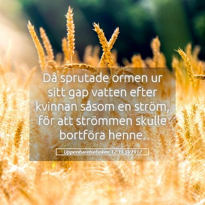 Picture 05 - Uppenbarelseboken 12:15 SV1917 - Då sprutade ormen ur sitt gap vatten efter - Bible Verse Picture