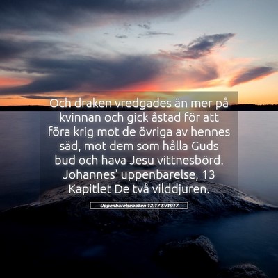 Picture 05 - Uppenbarelseboken 12:17 SV1917 - Och draken vredgades än mer på kvinnan och gick - Bible Verse Picture