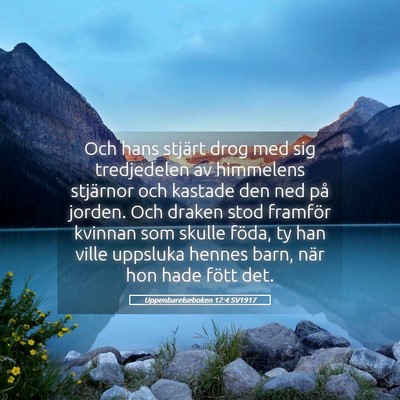 Picture 05 - Uppenbarelseboken 12:4 SV1917 - Och hans stjärt drog med sig tredjedelen av - Bible Verse Picture