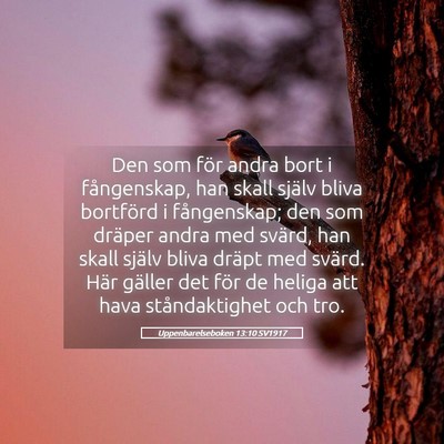 Picture 05 - Uppenbarelseboken 13:10 SV1917 - Den som för andra bort i fångenskap, han skall - Bible Verse Picture