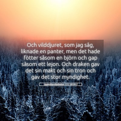 Picture 05 - Uppenbarelseboken 13:2 SV1917 - Och vilddjuret, som jag såg, liknade en panter, - Bible Verse Picture