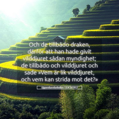 Picture 05 - Uppenbarelseboken 13:4 SV1917 - Och de tillbådo draken, därför att han hade - Bible Verse Picture
