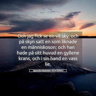 Picture 05 - Uppenbarelseboken 14:14 SV1917 - Och jag fick se en vit sky, och på skyn satt en - Bible Verse Picture