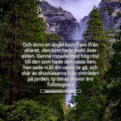 Picture 05 - Uppenbarelseboken 14:18 SV1917 - Och ännu en ängel kom fram ifrån altaret, den - Bible Verse Picture