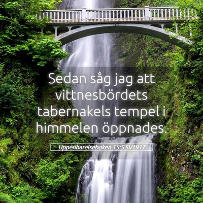 Picture 05 - Uppenbarelseboken 15:5 SV1917 - Sedan såg jag att vittnesbördets tabernakels - Bible Verse Picture