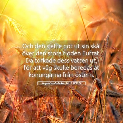 Picture 05 - Uppenbarelseboken 16:12 SV1917 - Och den sjätte göt ut sin skål över den stora - Bible Verse Picture