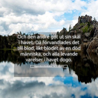 Picture 05 - Uppenbarelseboken 16:3 SV1917 - Och den andre göt ut sin skål i havet. Då - Bible Verse Picture