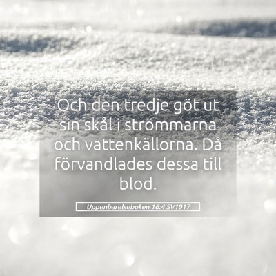 Picture 05 - Uppenbarelseboken 16:4 SV1917 - Och den tredje göt ut sin skål i strömmarna - Bible Verse Picture