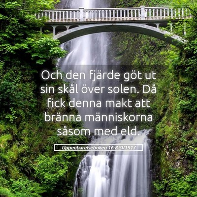 Picture 05 - Uppenbarelseboken 16:8 SV1917 - Och den fjärde göt ut sin skål över solen. - Bible Verse Picture
