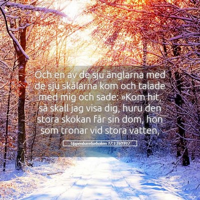 Picture 05 - Uppenbarelseboken 17:1 SV1917 - Och en av de sju änglarna med de sju skålarna - Bible Verse Picture