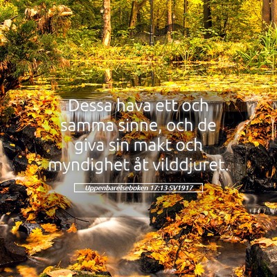 Picture 05 - Uppenbarelseboken 17:13 SV1917 - Dessa hava ett och samma sinne, och de giva sin - Bible Verse Picture
