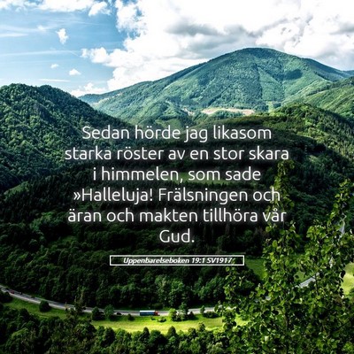 Picture 05 - Uppenbarelseboken 19:1 SV1917 - Sedan hörde jag likasom starka röster av en - Bible Verse Picture