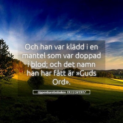 Picture 05 - Uppenbarelseboken 19:13 SV1917 - Och han var klädd i en mantel som var doppad i - Bible Verse Picture