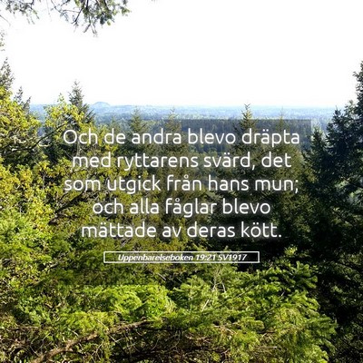 Picture 05 - Uppenbarelseboken 19:21 SV1917 - Och de andra blevo dräpta med ryttarens svärd, - Bible Verse Picture