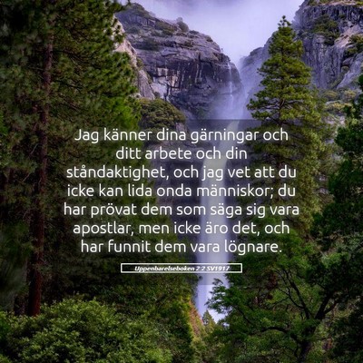 Picture 05 - Uppenbarelseboken 2:2 SV1917 - Jag känner dina gärningar och ditt arbete och - Bible Verse Picture