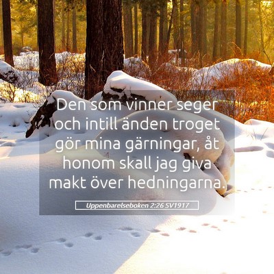 Picture 05 - Uppenbarelseboken 2:26 SV1917 - Den som vinner seger och intill änden troget - Bible Verse Picture