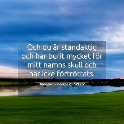 Picture 05 - Uppenbarelseboken 2:3 SV1917 - Och du är ståndaktig och har burit mycket för - Bible Verse Picture