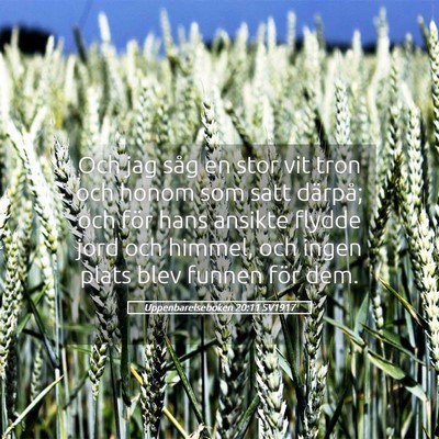 Picture 05 - Uppenbarelseboken 20:11 SV1917 - Och jag såg en stor vit tron och honom som satt - Bible Verse Picture