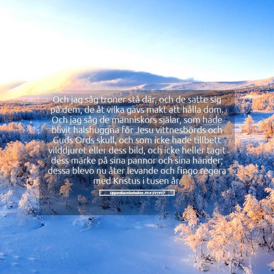 Picture 05 - Uppenbarelseboken 20:4 SV1917 - Och jag såg troner stå där, och de satte sig - Bible Verse Picture