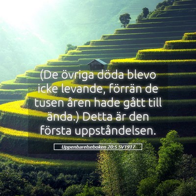 Picture 05 - Uppenbarelseboken 20:5 SV1917 - (De övriga döda blevo icke levande, förrän de - Bible Verse Picture