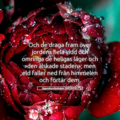 Picture 05 - Uppenbarelseboken 20:9 SV1917 - Och de draga fram över jordens hela vidd och - Bible Verse Picture