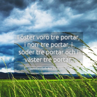 Picture 05 - Uppenbarelseboken 21:13 SV1917 - I öster voro tre portar, i norr tre portar, i - Bible Verse Picture