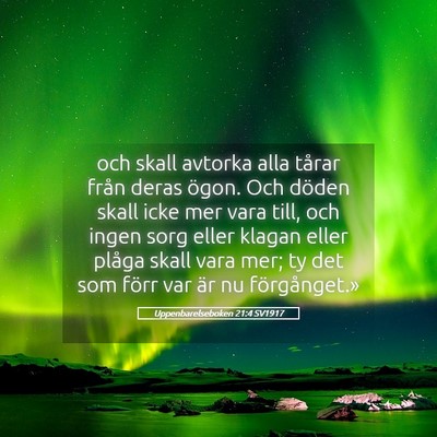 Picture 05 - Uppenbarelseboken 21:4 SV1917 - och skall avtorka alla tårar från deras ögon. - Bible Verse Picture